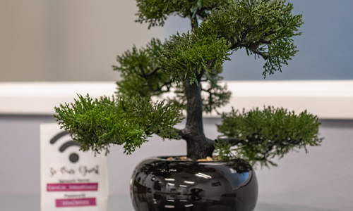 Gallery Photo | Euro Car Doctor Inc