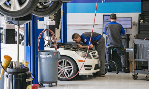 Gallery Photo | Euro Car Doctor Inc